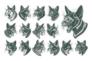 AI generated Set of meowing havana brown cat head vector design