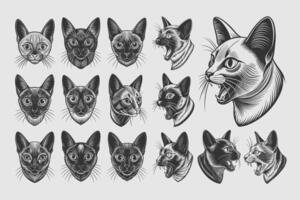 AI generated Collection of side view meow burmese cat face illustration design vector