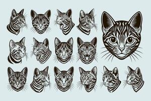 AI generated Detailed front view american shorthair cat head illustration design set vector