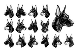 AI generated Hand drawn dobermann dog head from side illustration design set vector