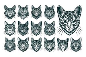 AI generated Kawaii cute illustration of american curl cat head design set vector