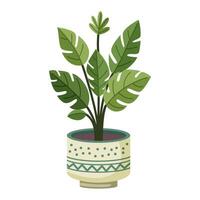 Monstera plant in a pot vector