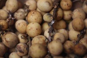 Longkong or Lansium Parasiticum, fruit in Southeast Asia has a bitter and sour taste photo