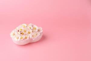 Apricot flowers on heart-shaped white calcite plate on a soft pink background, with copy space photo