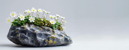 AI generated White flowers grow from moss on a stone. Natural still life with a minimalist aesthetic. Copy space for text. photo