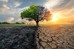 AI generated climate change impact on more and worse environment professional photography photo