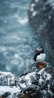 AI generated A solitary Atlantic puffin on a rocky photo