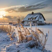 ai generado invierno paisaje a puesta de sol con césped y casa en antecedentes foto