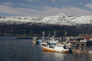 Fishing village in norway photo