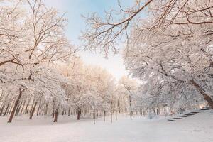 Snowy winter landscape panorama with dreamy sunlight. Idyllic winter nature, adventure and freedom scenic. Amazing seasonal landscape, forest path and snow. Majestic winter landscape, wonderland photo