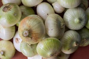 Heap of peeled onions photo