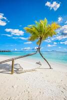 Tropical beach banner as summer landscape with beach swing or hammock and white sand and calm sea for beach background. Perfect beach scene vacation and summer holiday concept. Boost up color process photo