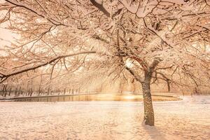 Snowy winter landscape panorama with dreamy sunlight. Idyllic winter nature, adventure and freedom scenic. Amazing seasonal landscape, forest path and snow. Majestic winter landscape, wonderland photo