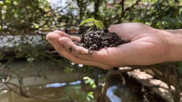 Planting various plants in the garden preserves nature photo