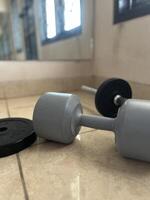 Gym equipment such as dumbbells, barbells, sit up benches and workouts photo