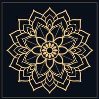 Mandala. Ethnic decorative element. Hand drawn backdrop. Islam, Arabic, Indian, ottoman motifs. vector