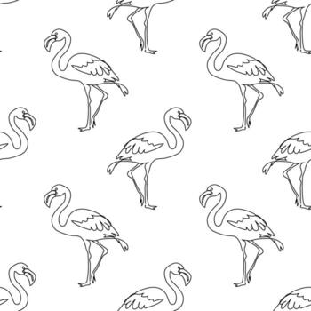 sin costura patrón, lineal flamenco, negro línea patrón, para tela, envase papel vector