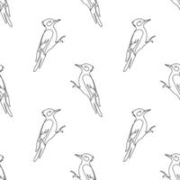 Seamless pattern, line woodpecker, white background, line drawing, for fabric, wrapping paper vector