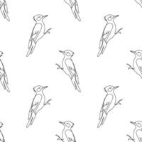 Seamless pattern, line woodpecker, white background, line drawing, for fabric, wrapping paper vector