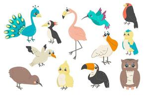 set of different birds, a childish illustration, with names. spring, exotic birds. vector