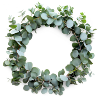 AI generated Circle frame by eucalyptus green leaves, Christmas wreath frame adorned with leaf, AI generated, PNG transparent with shadow