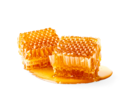 Honeycombs and honey drip on desk, Organic product from the nature for healthy with traditional style, PNG transparency