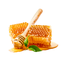 honingraat met honing beer en blad geïsoleerd, biologisch Product van de natuur voor gezond met traditioneel stijl, PNG transparantie