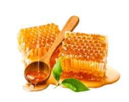 honingraat met honing lepel en blad geïsoleerd, biologisch Product van de natuur voor gezond met traditioneel stijl, PNG transparantie