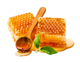 Honeycomb with honey spoon and leaf isolated, Organic product from the nature for healthy with traditional style, PNG transparency