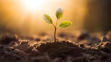 ai generado minúsculo brote planta de semillero de un árbol en luz de sol. símbolo de ecología, naturaleza y el comenzando de vida y crecimiento concepto foto