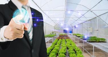 Concept of caring for vegetable farms with technology photo