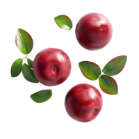 AI generated Cranberries pile with Cranberry leaves on the floor, Healthy organic berry natural ingredients concept, AI generated, PNG transparency