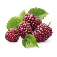 AI generated Fresh Mulberries pile on the floor, Healthy organic berry natural ingredients concept, AI generated, PNG transparency with shadow