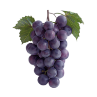 AI generated Juicy ripe grapes isolated on a white background, Healthy organic juicy fruit and fresh natural ingredients, AI generated, PNG transparent