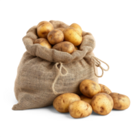 AI generated Fresh organic potatoes in bag sacks isolated on white background, healthy and organic food, AI generated, PNG transparent with shadow