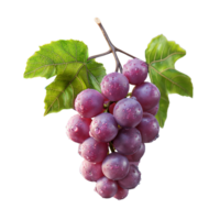 AI generated Grapes bunch isolated on white background, Healthy organic juicy fruit and fresh natural ingredients, AI generated, PNG transparent