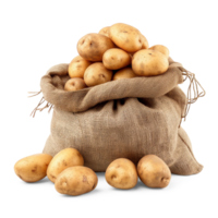 AI generated Fresh organic potatoes in bag sacks isolated on white background, healthy and organic food, AI generated, PNG transparent with shadow