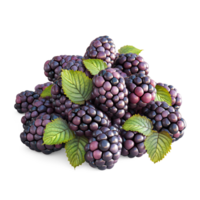 AI generated Blackberries pile with Blackberry leaves on the floor, Healthy organic berry natural ingredients concept, AI generated, PNG transparency with shadow