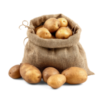 AI generated Fresh organic potatoes in bag sacks isolated on white background, healthy and organic food, AI generated, PNG transparent with shadow