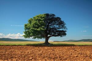 AI generated climate change impact on more and worse environment professional photography photo