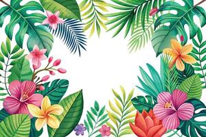 tropical flowers and leafs with frame circular vector illustration design