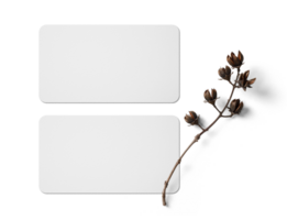 maquette de carte de visite minimale png