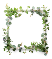 ai généré blanc photo Cadre entrelacés avec une coloré fleur et eucalyptus vert feuilles arrangement, décoratif votre image avec floral et feuille, ai généré, png transparent avec ombre