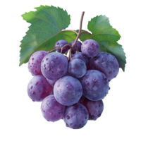 AI generated Ripe grapes bunch isolated on white background, Healthy organic juicy fruit and fresh natural ingredients, AI generated, PNG transparent