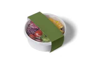 Takeaway food container box mockup png