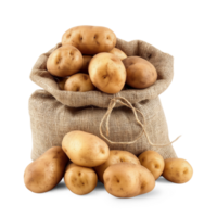 AI generated Fresh organic potatoes in bag sacks isolated on white background, healthy and organic food, AI generated, PNG transparent with shadow