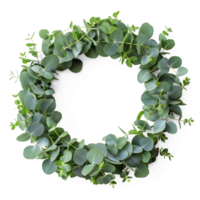 AI generated Circle frame by eucalyptus green leaves, Christmas wreath frame adorned with leaf, AI generated, PNG transparent with shadow