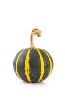 Decorative, small, striped autumn green yellow pumpkin isolation on white background photo