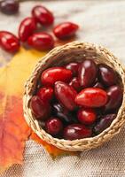 Fresh ripe dogwood berries in bowl on table, closeup photo