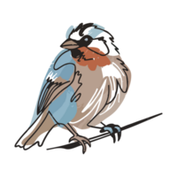 Watercolor line art bird of transparent png background.